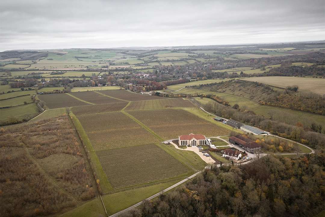 Exton Park Vineyard